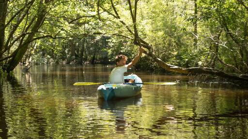 Teenage boy in kayak, Econfina Creek, Youngstown, Florida, USA