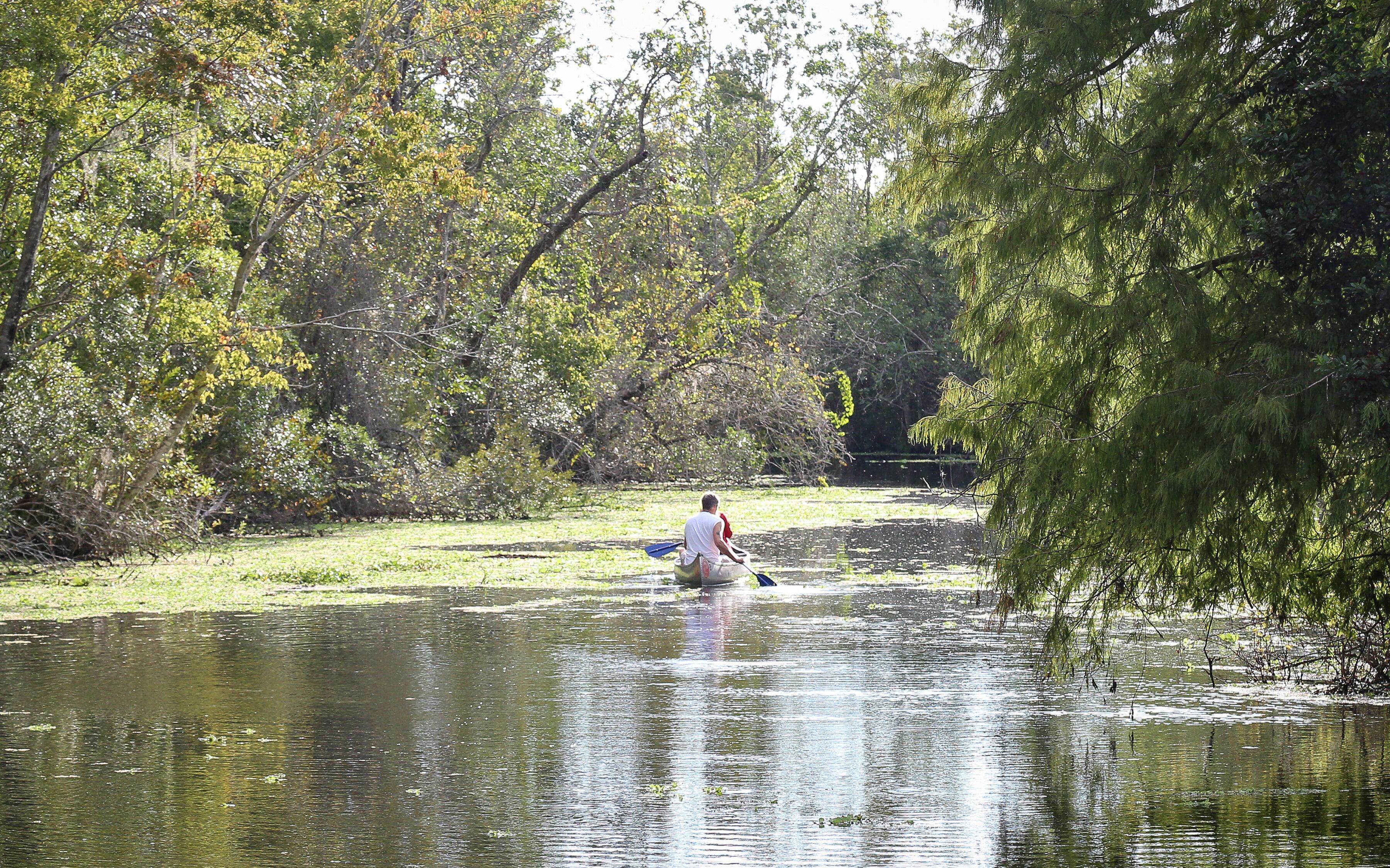 FRUITLAND PARK, FLORIDA, UNITED STATES - Oct 22, 2018: Paddling at Lake Griffin State Park