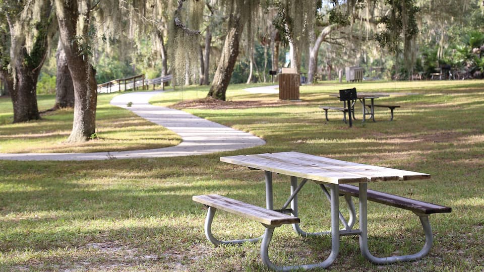 A park with a picnic table, benches, a walking path, and trees with hanging moss.