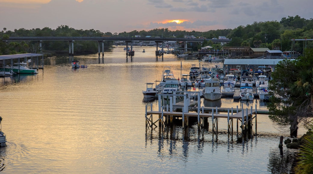 Marinas on the Steinhatchee River near Gulf of Mexico, Steinhatchee Florida