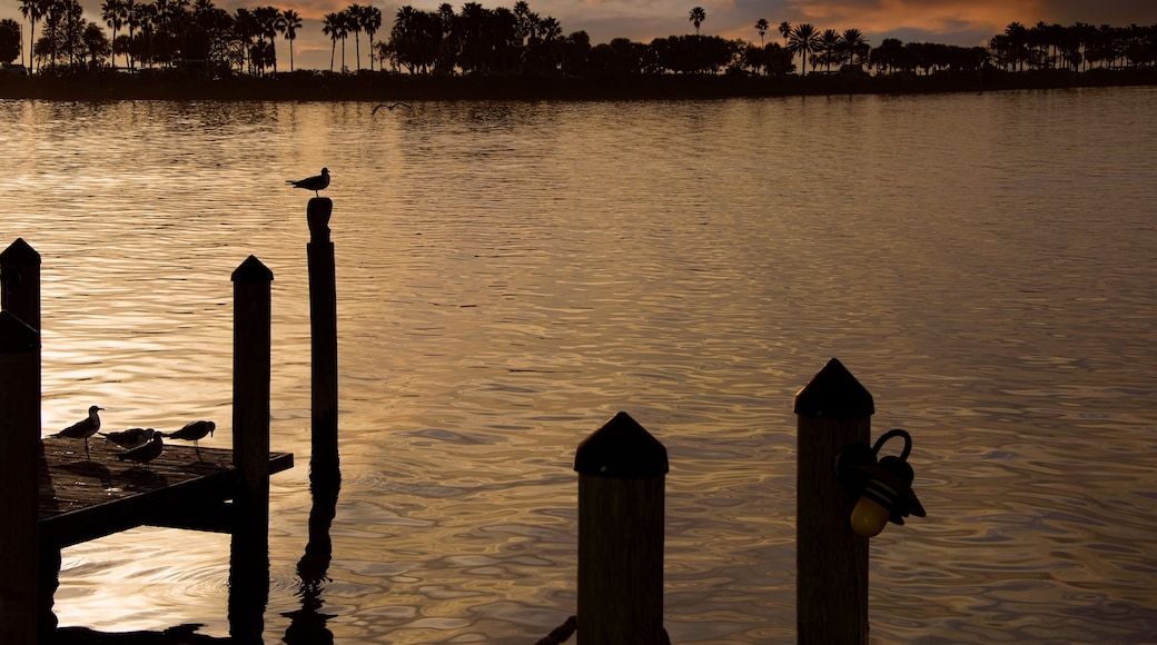 Evening Sky over the Tampa Bay Area, Tampa, Florida