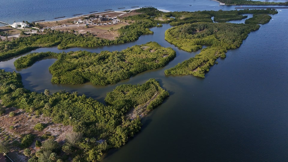 An aerial view of a coastal area with dense mangrove forests, a marina, and a white building with a dome structure.