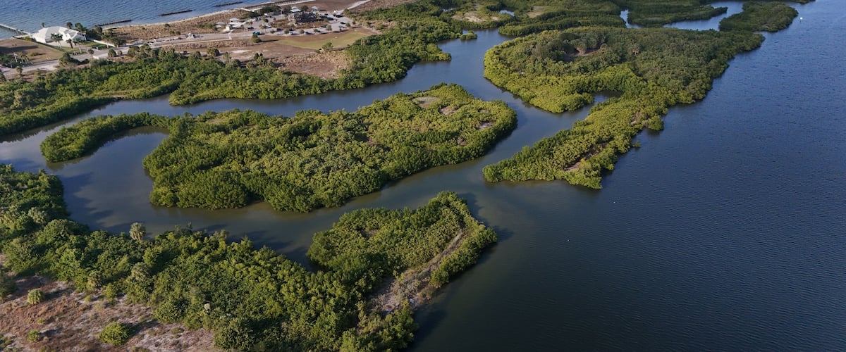 An aerial view of a coastal area with dense mangrove forests, a marina, and a white building with a dome structure.