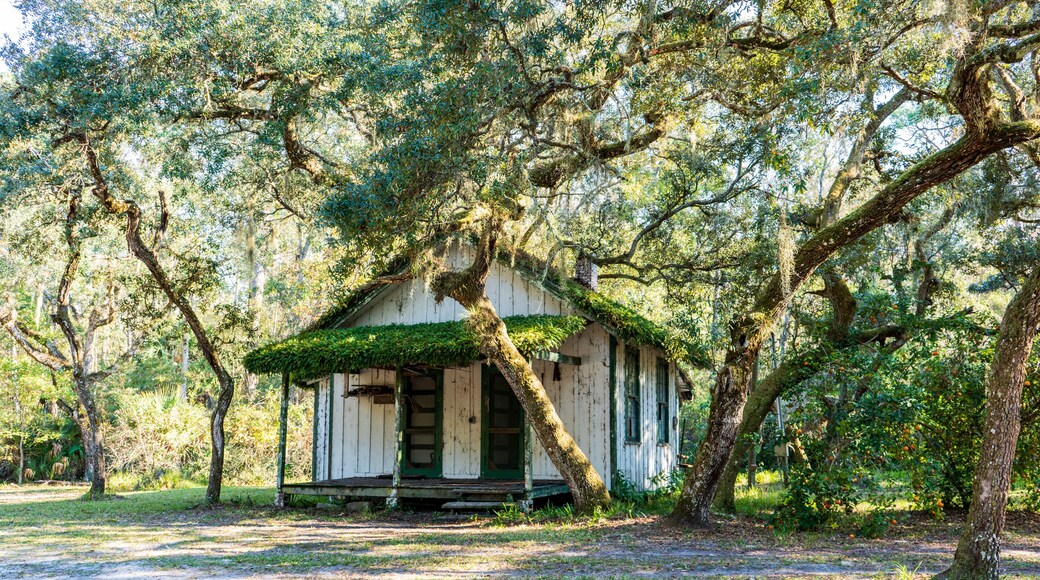 グラント バルカリア
