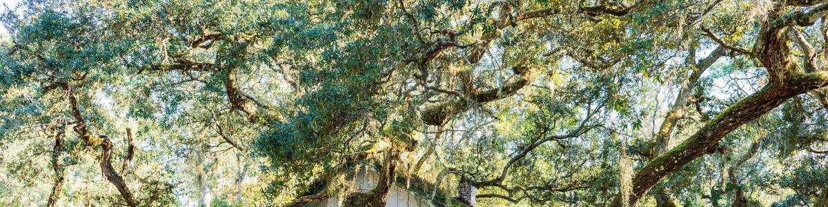 The "Cook House" located on the Vista Property section of the Lower Suwanee National Wildlife Refuge