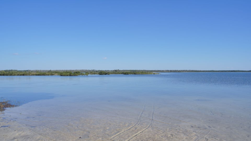 A sandy beach with tire tracks and a calm body of water.