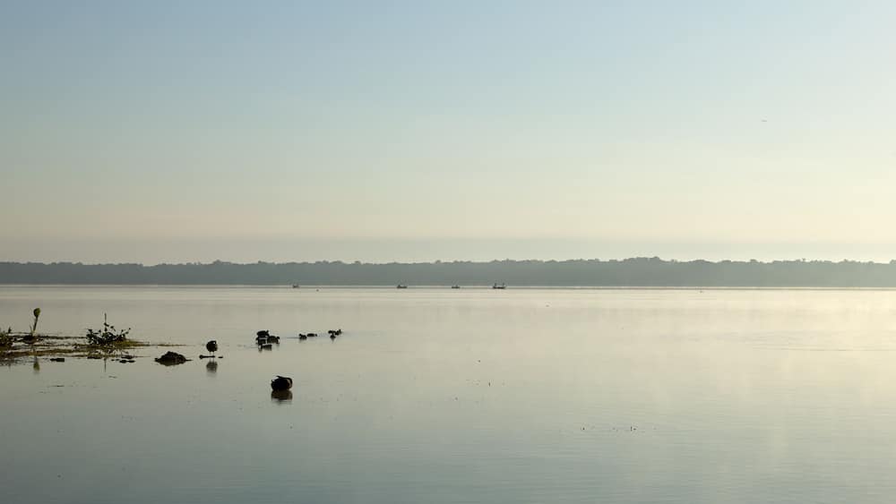 Tranquil scene of Panasoffkee Lake, USA