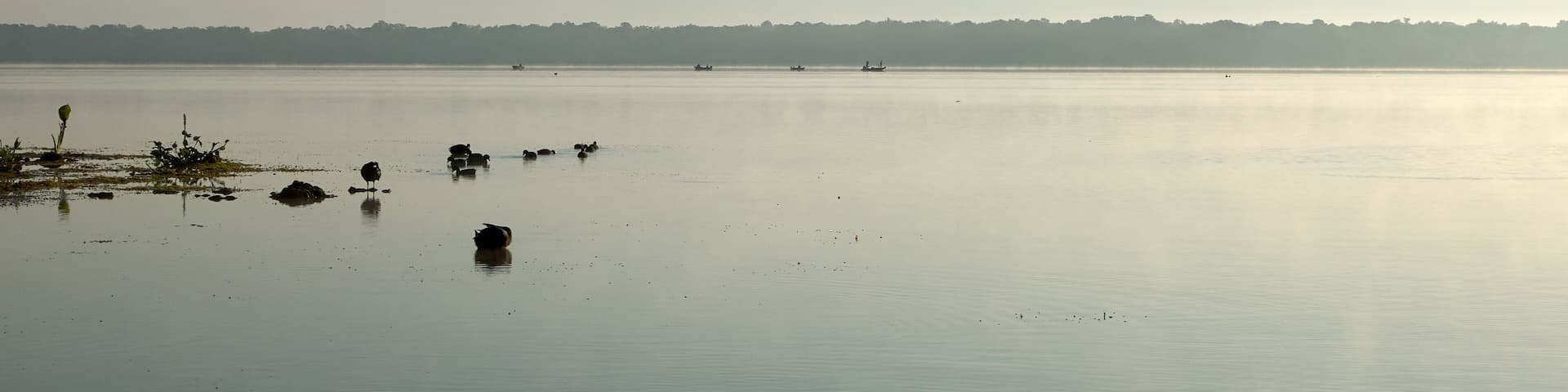 Tranquil scene of Panasoffkee Lake, USA