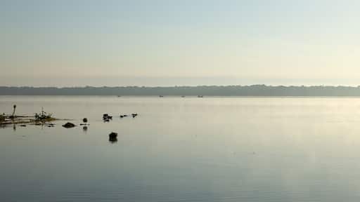 Tranquil scene of Panasoffkee Lake, USA