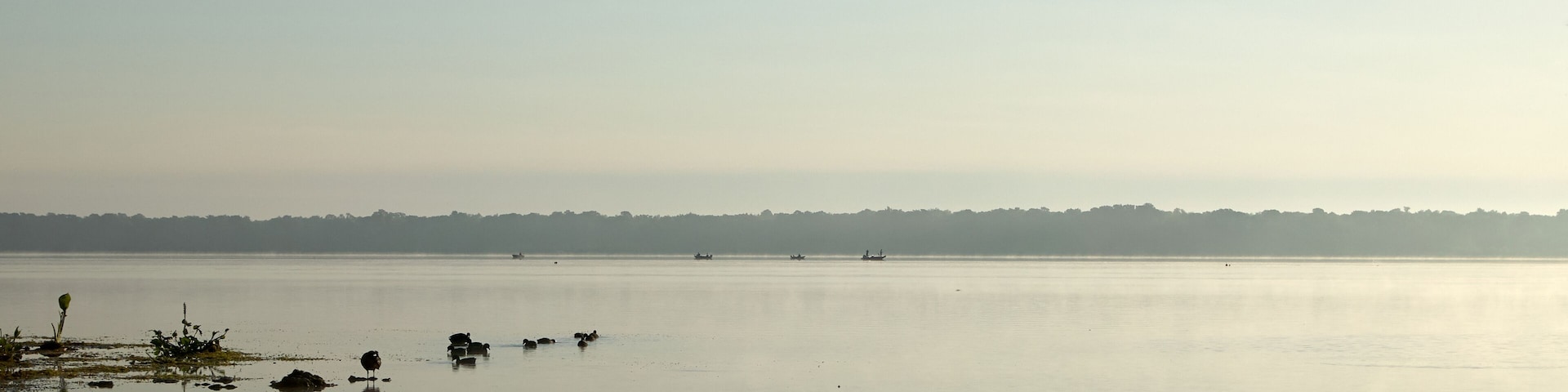 Tranquil scene of Panasoffkee Lake, USA