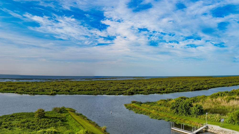 View of Lake Okeechobee surrounded by lush greenery in Florida, the United States
