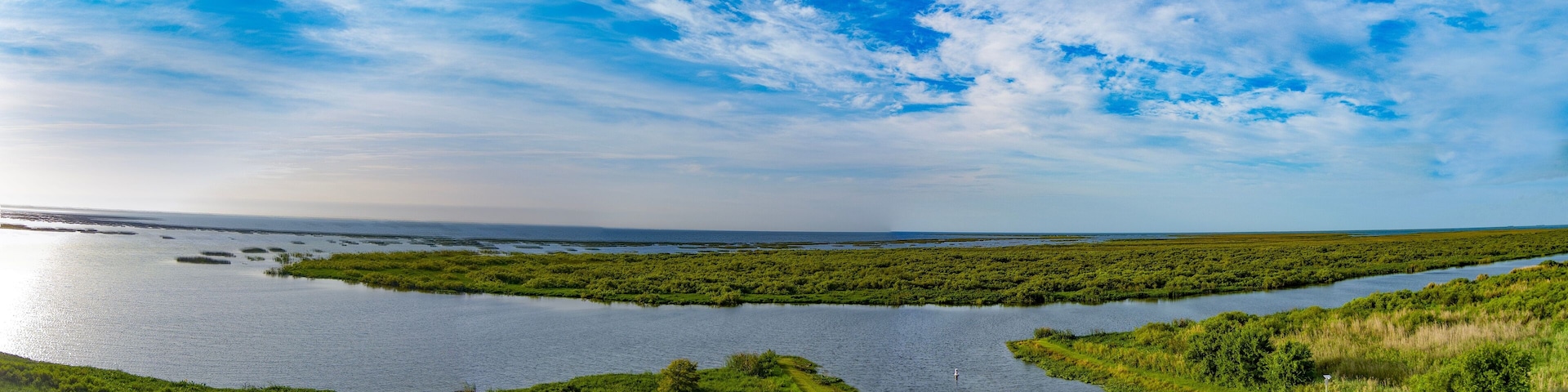 View of Lake Okeechobee surrounded by lush greenery in Florida, the United States