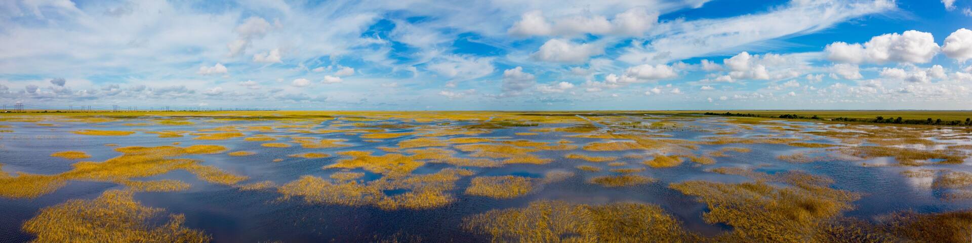 A wetland landscape with water and yellow vegetation under a partly cloudy sky.