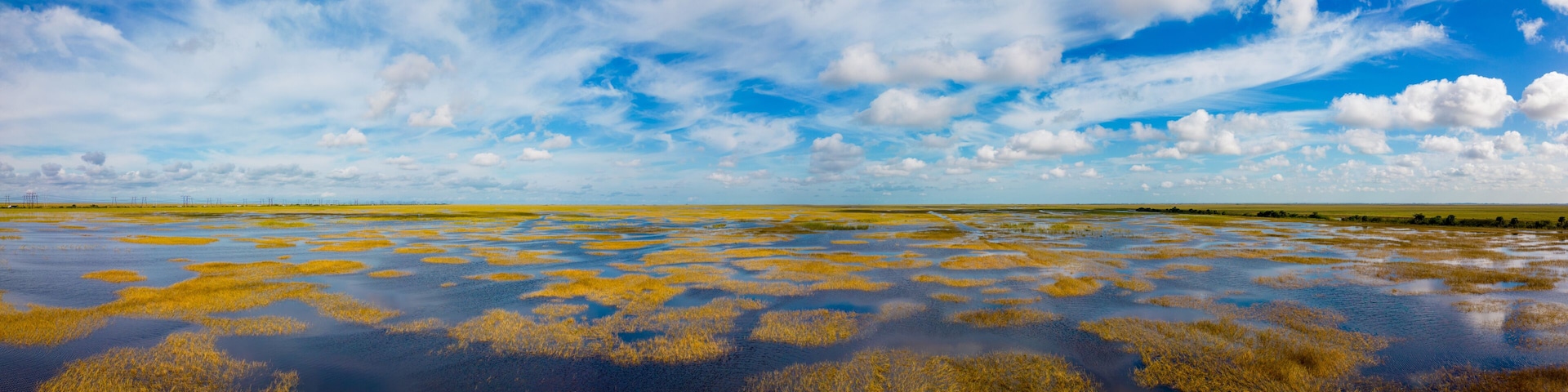 Aerial photo Florida Everglades nature landscapes