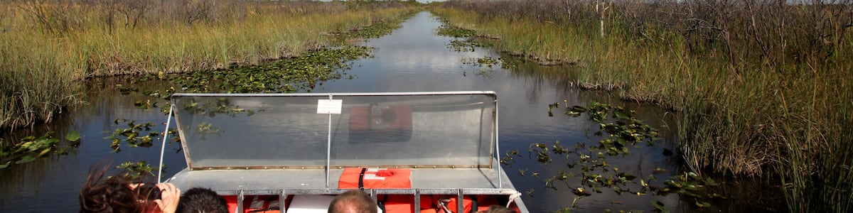 Airboat ride on the Everglades national park