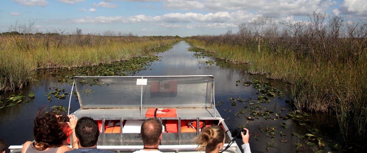 Airboat ride on the Everglades national park