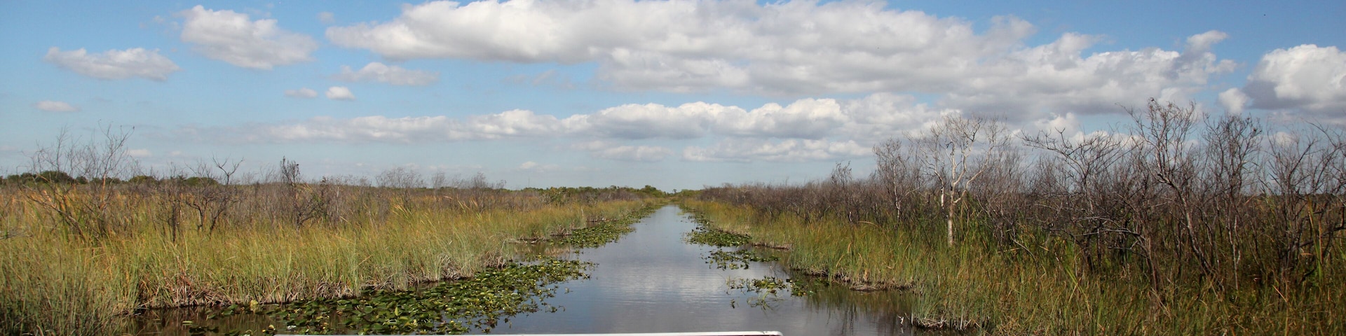 Airboat ride on the Everglades national park