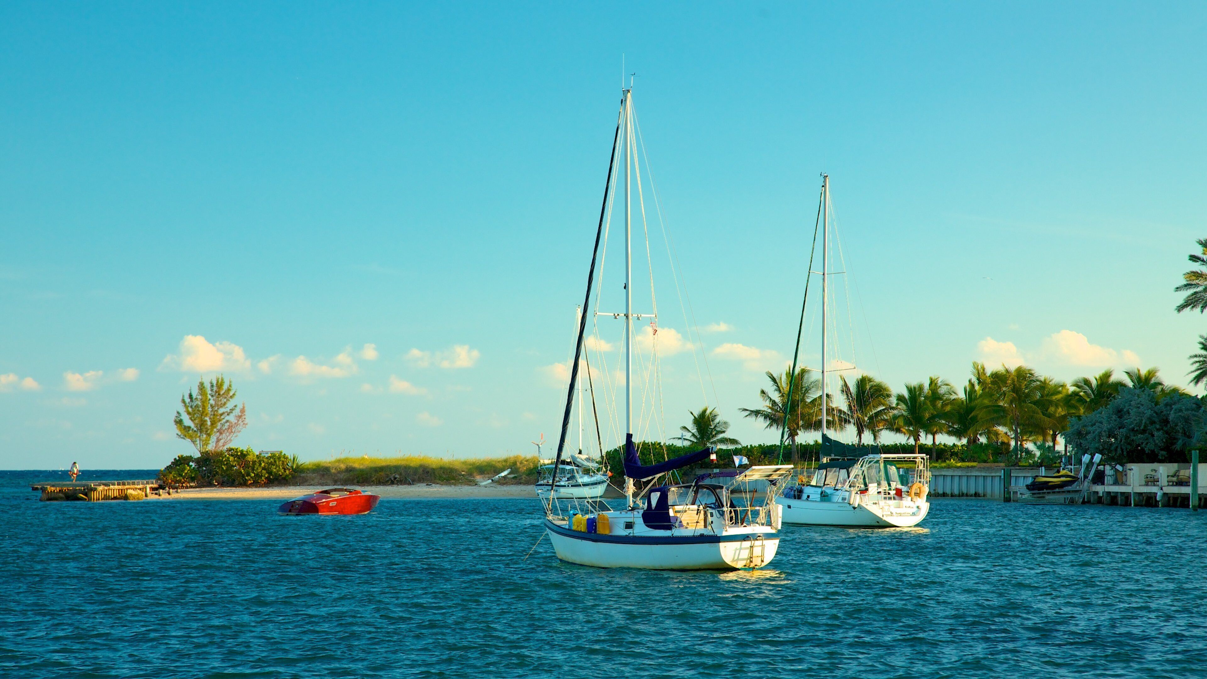 Fort Lauderdale featuring a bay or harbor, tropical scenes and sailing