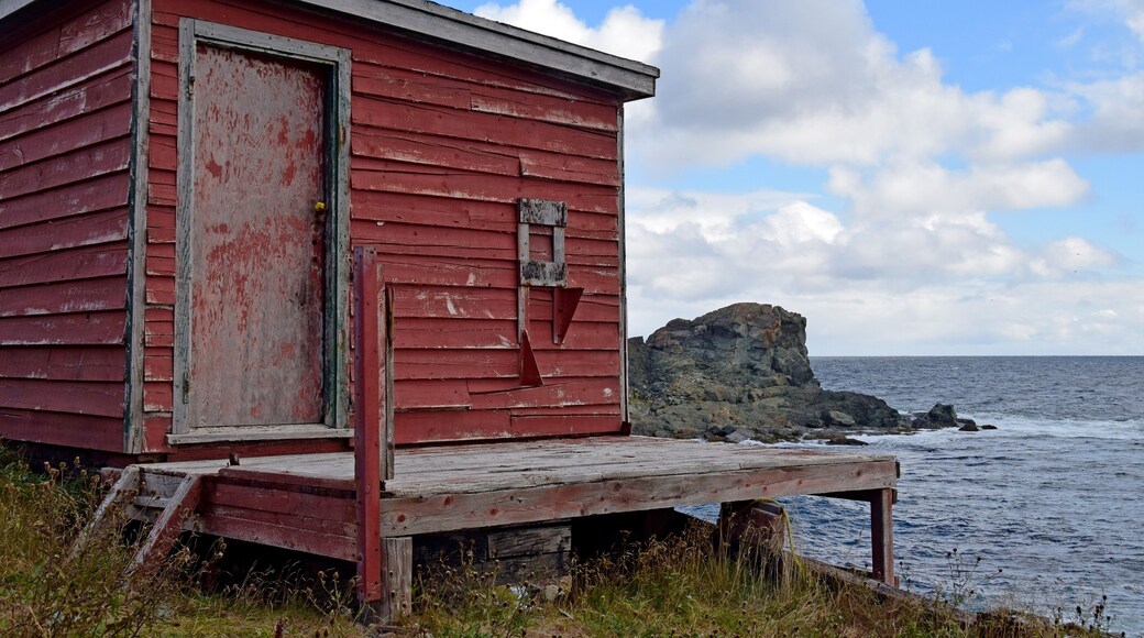Pouch Cove