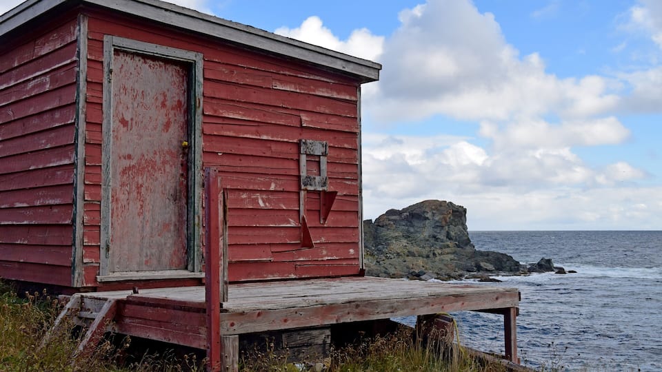 landscape along the Killick Coast, Biscayan Cove seascape, Avalon Peninsula, NL Canada