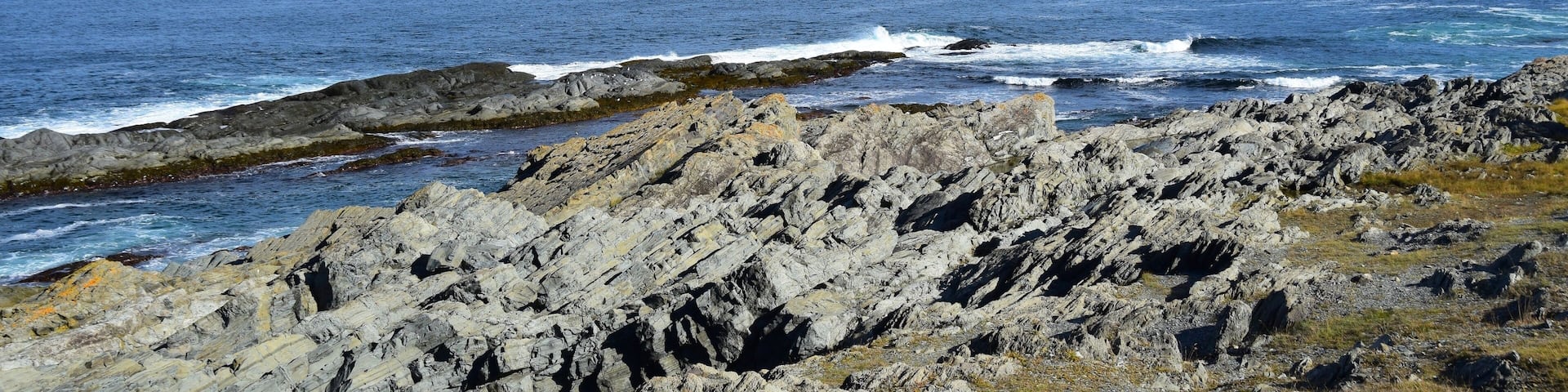 coastal landscape near Middle Cove, Silver Mine Head Path; East Coast trail Avalon peninsula, NL Canada