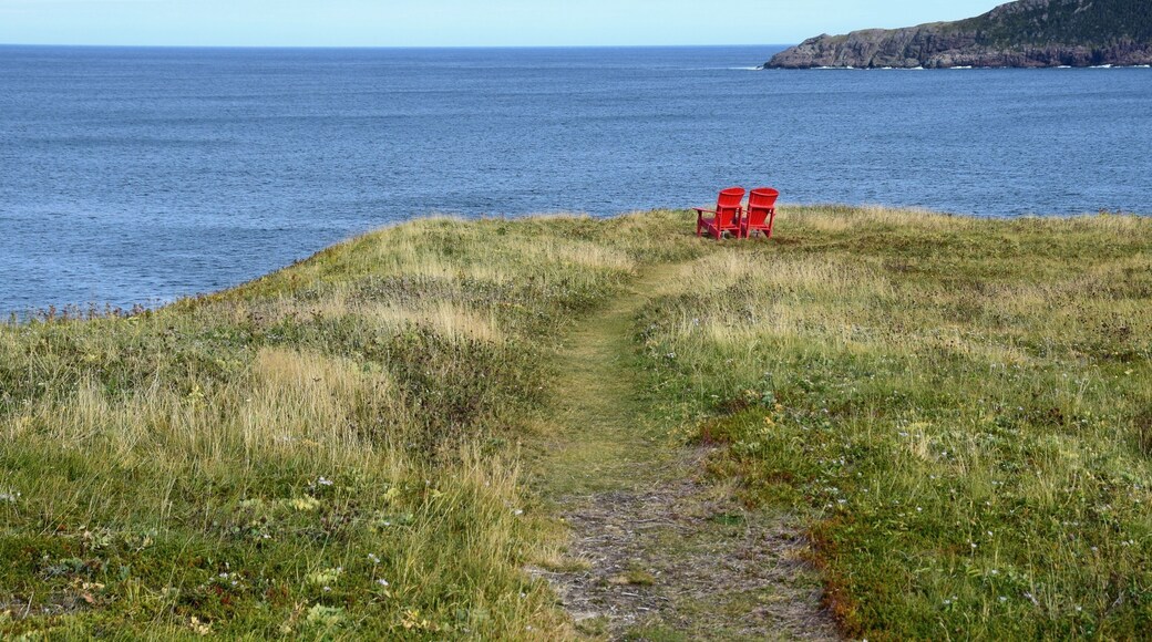 Torbay