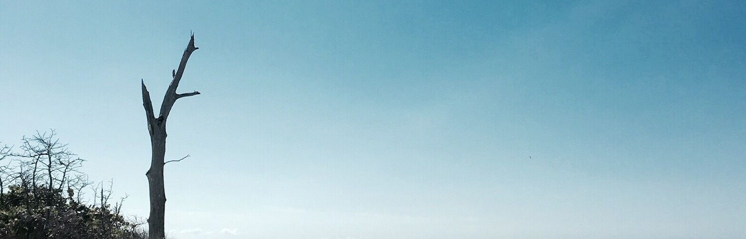 hunting for shark teeth #beach #waterlust