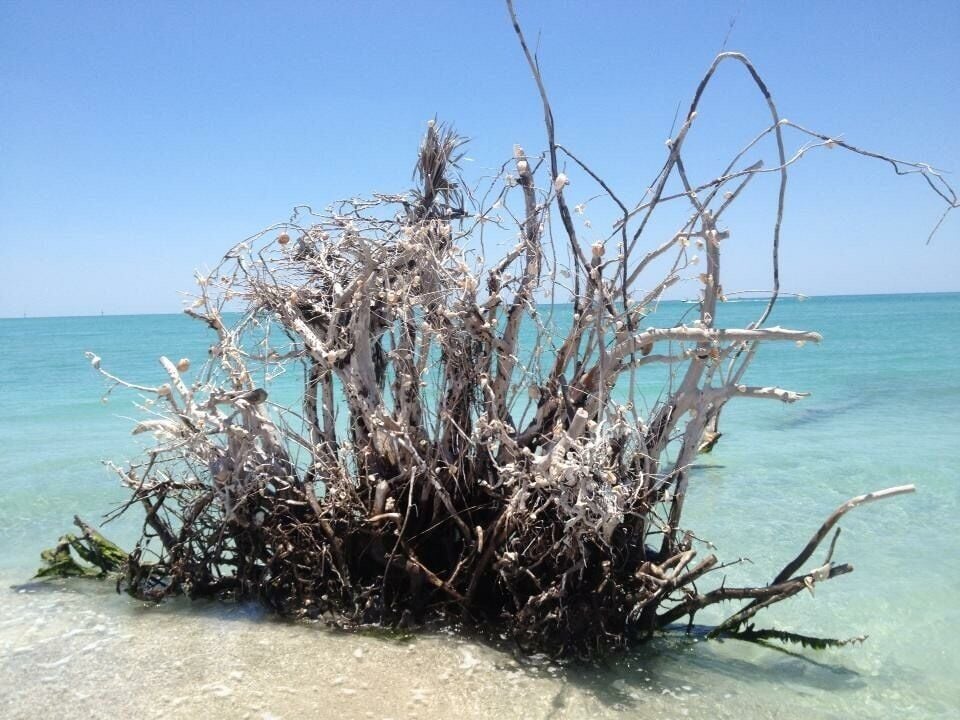 It seemed we walked for miles and only saw 4 other people. Such a peaceful place.