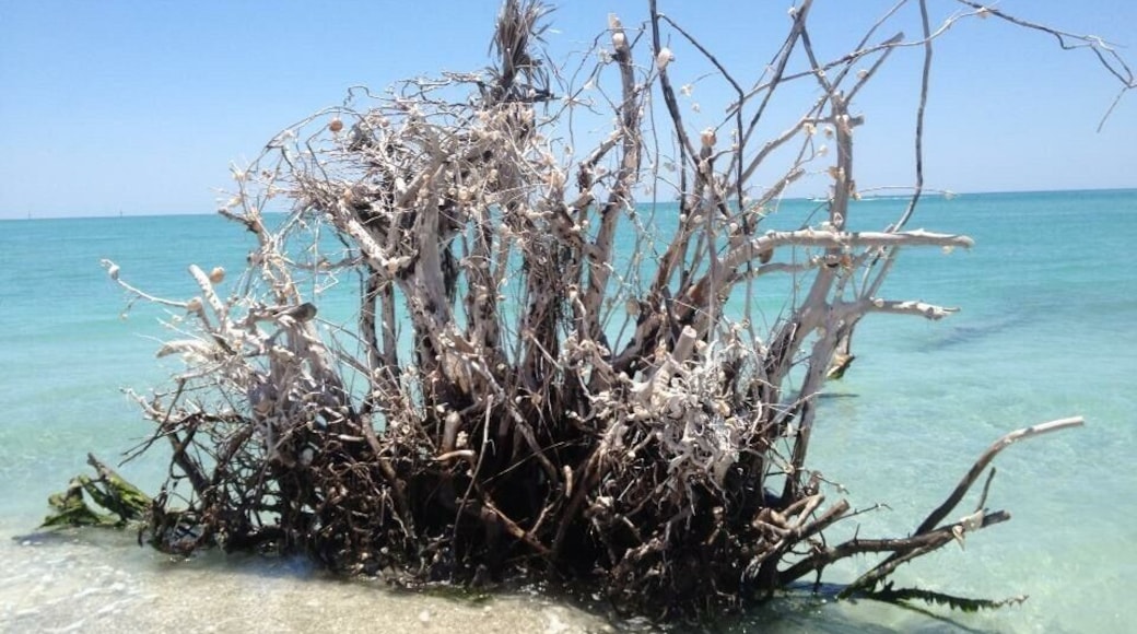 It seemed we walked for miles and only saw 4 other people. Such a peaceful place.