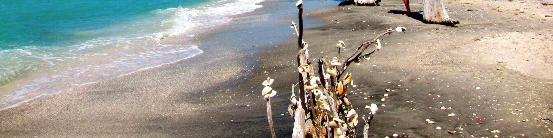 Stump Pass State Park is a gem in Southwest Florida. There is a trail through the forested area of the park, but the best part is along the beach. Check the tides, when the tide is in, much of this area is covered with water, but when it's out, there is a spectacular, windswept, quiet beach to explore, complete with tons of shells and the trees and stumps that give this park its name. #BeachBound