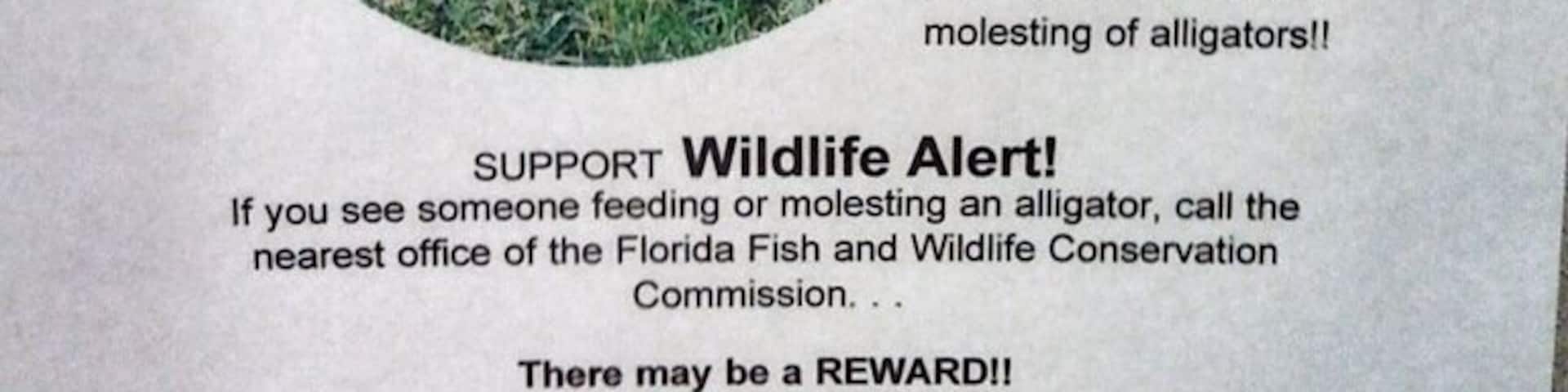Just a little FYI... In case you were curious about molesting some gators...