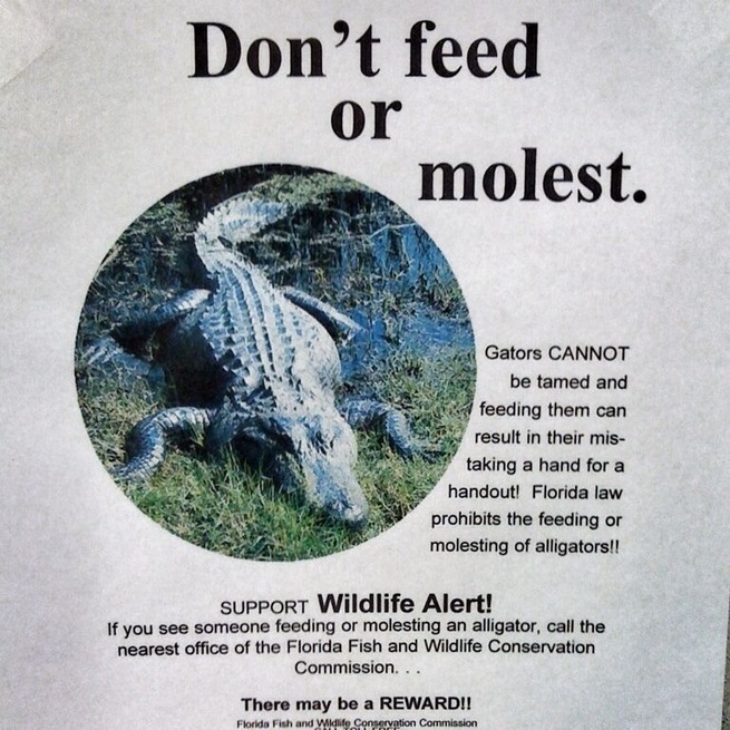 Just a little FYI... In case you were curious about molesting some gators...