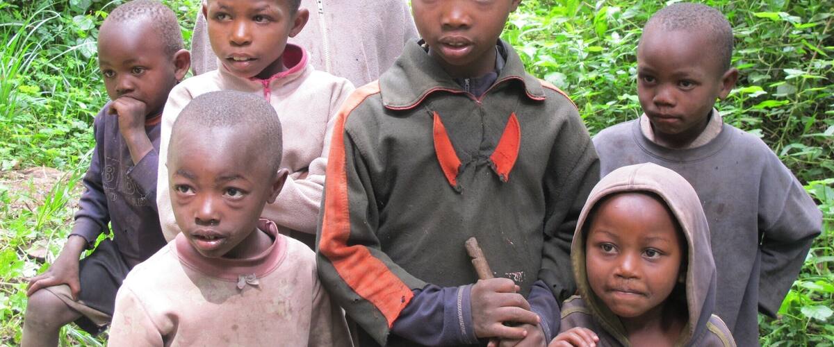 A group of children in a forested area.