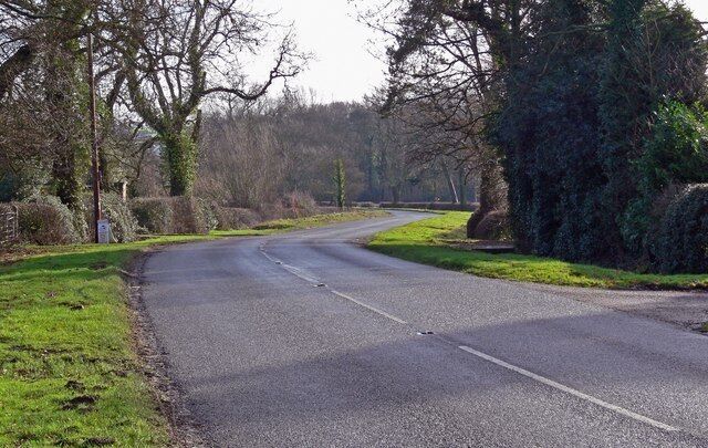 A rural road curving through a countryside with trees and grass on both sides.