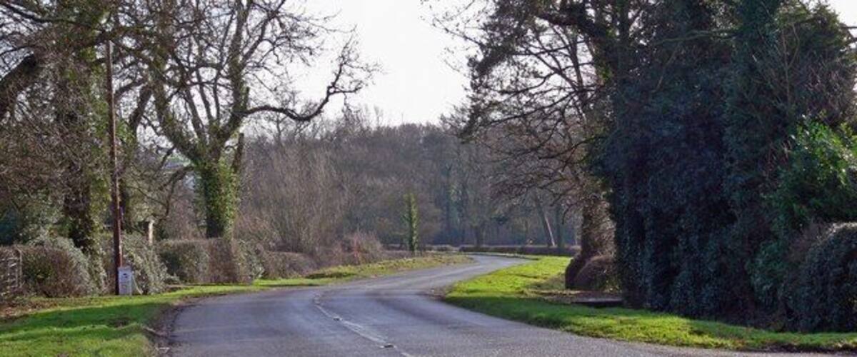 A rural road curving through a countryside with trees and grass on both sides.