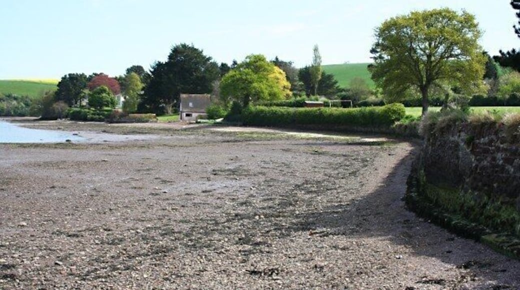 The Estuary Strand Looking east from Coombe Cellars along the estuary shore. The footpath, The Templar Way, runs just below the sea wall.