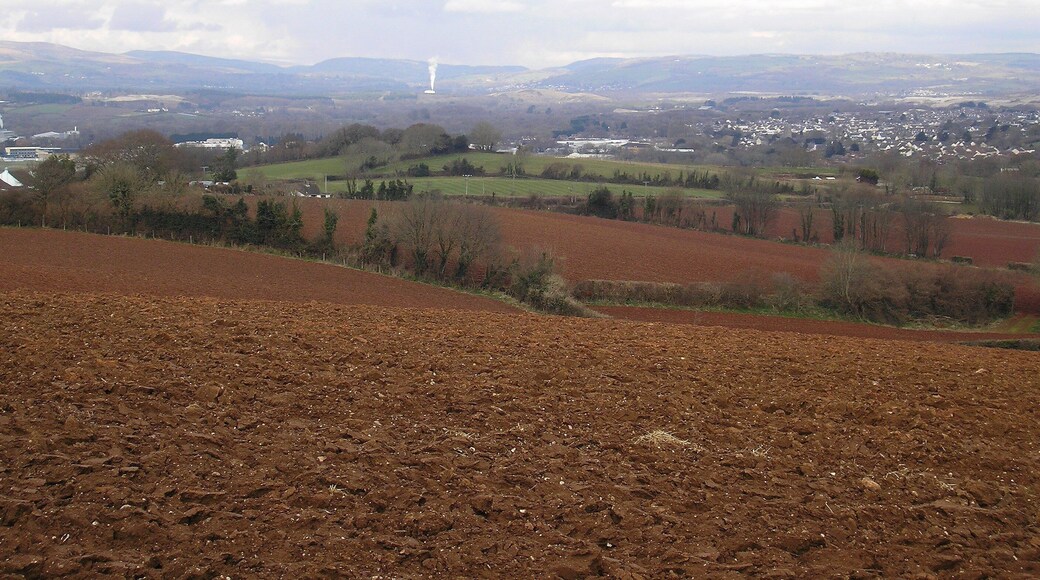 A view across the Teign Valley from Combeinteignhead. The Grandstand of Newton Abbot Racecourse can been seen on the far left of the picture. 19 March 2013. Camera: Olympus FE-120 6.0 Digital.