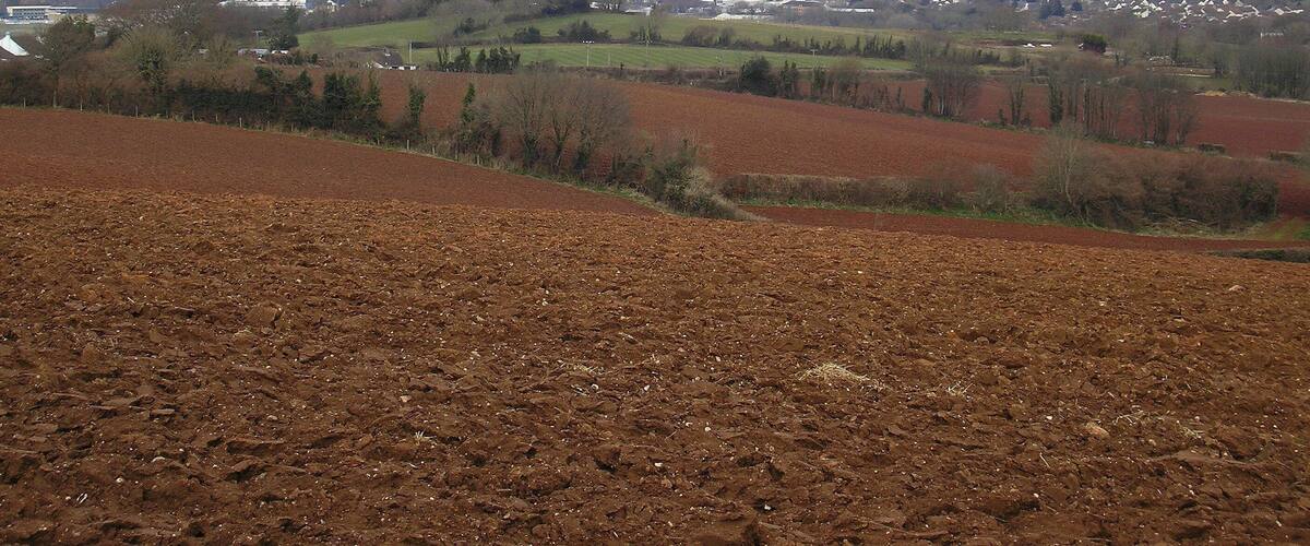 A rural landscape with plowed fields, scattered trees, and distant buildings.