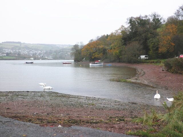 Um lago tranquilo com cisnes, barcos e uma margem avermelhada.
