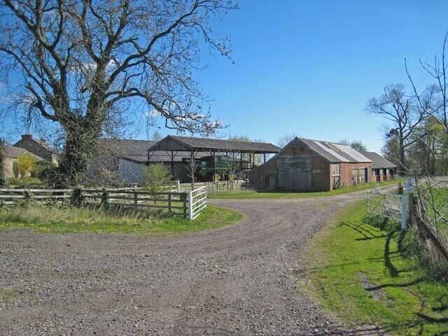 A gravel road leading to a farm with barns and a fenced area.