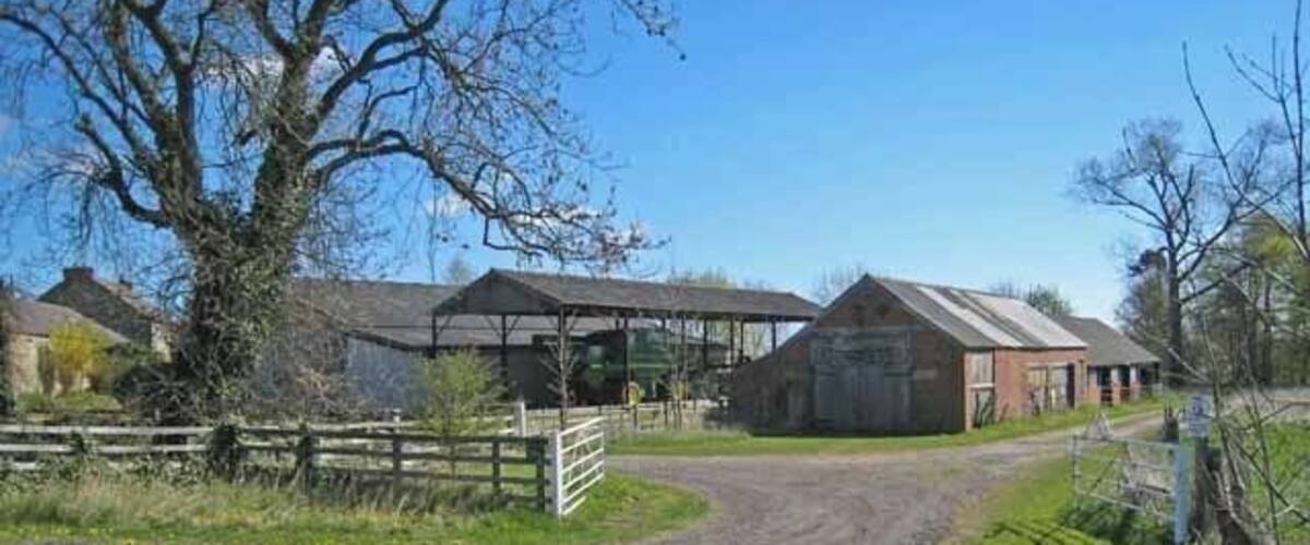 A gravel road leading to a farm with barns and a fenced area.