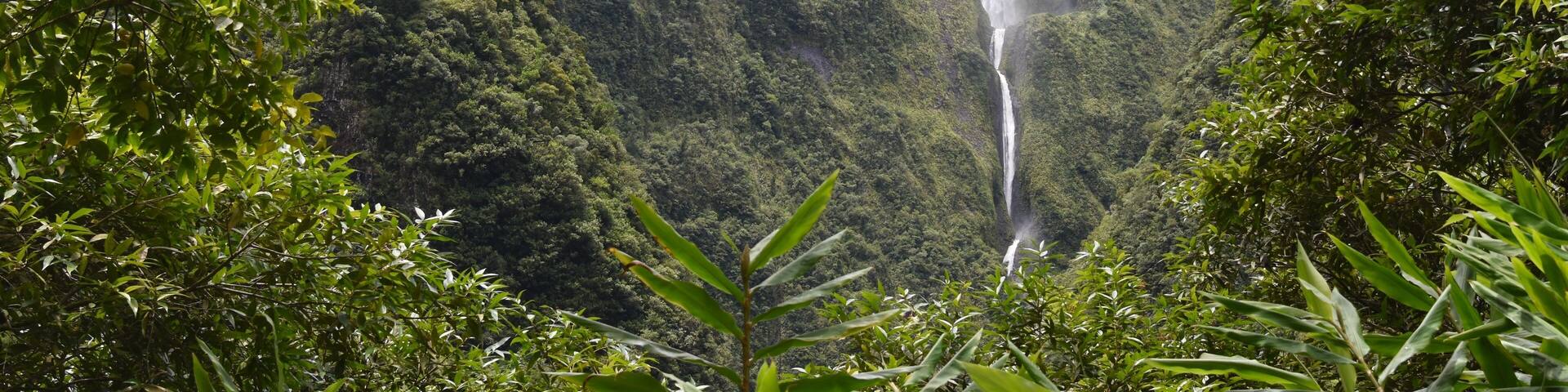 Cascade blanche, Bras-Panon, Salazie, île de la Réunion, Océan Indien