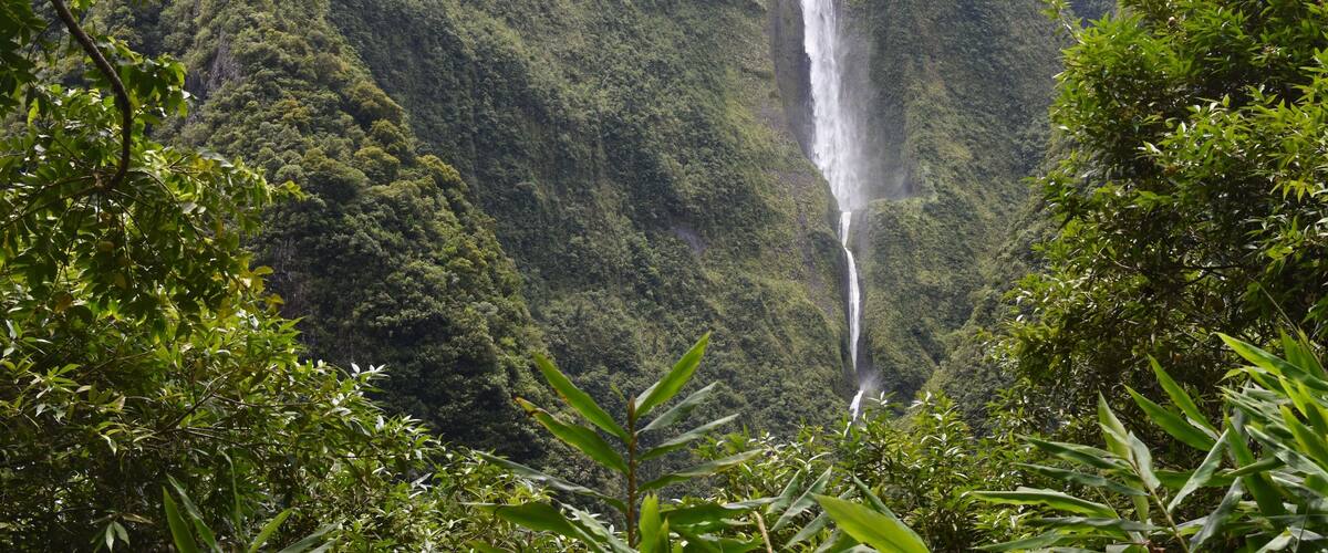 A waterfall cascading down a lush, green mountain.