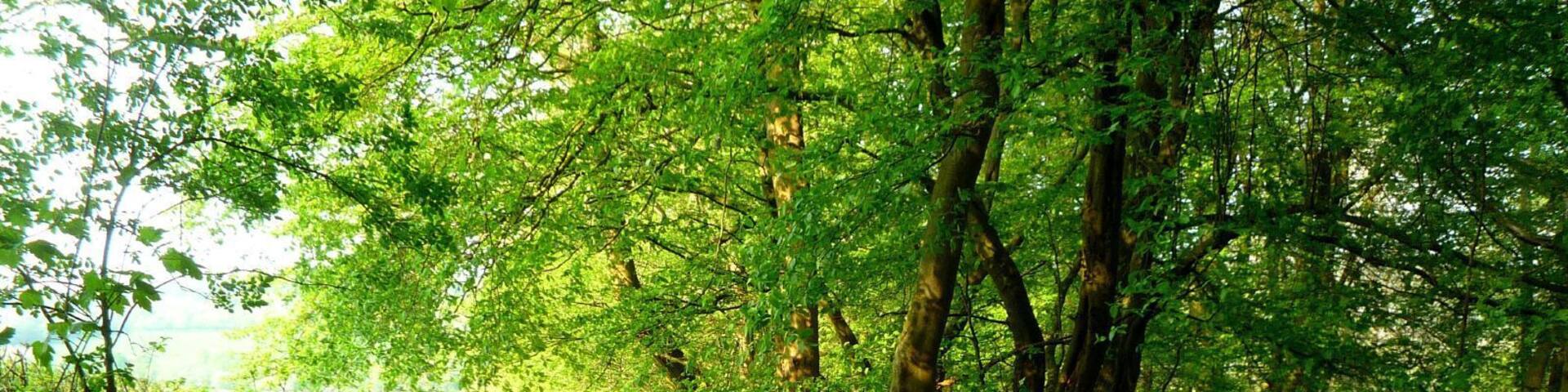 The Mop End Lane footpath between Little Missenden and Amersham, Bucks, UK