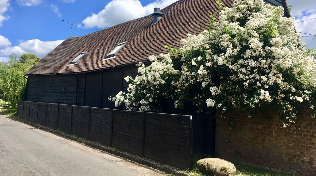 North Barn At Manor Farm Wikidata has entry Q26418032 with data related to this item.