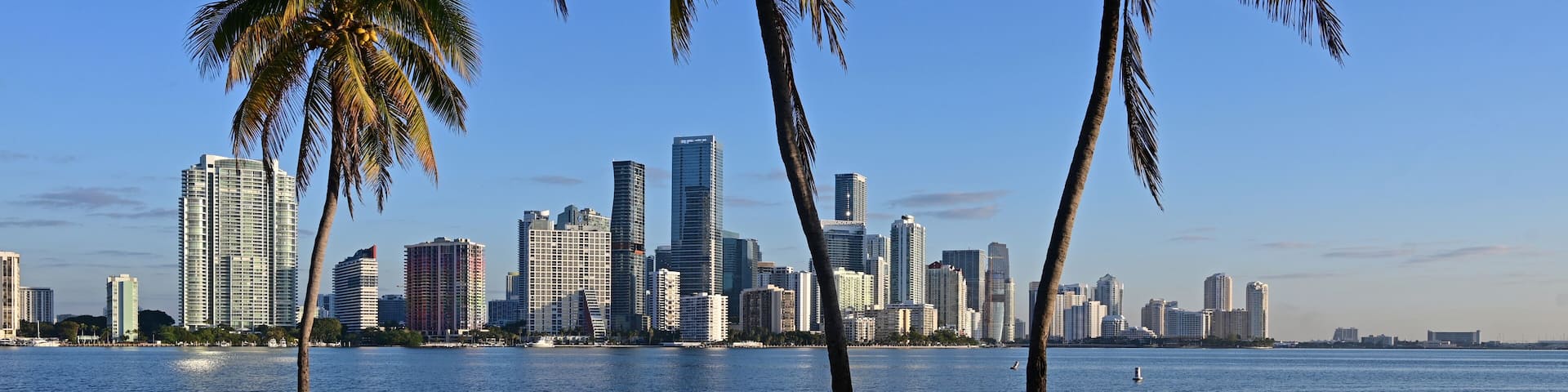 City of Miami, Florida skyline with coconut palms in foreground in early morning light on clear sunny day.