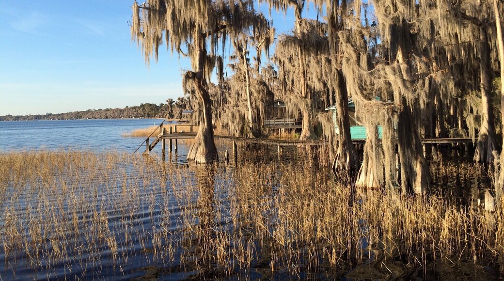 Melrose, FL
Lake Santa Fe