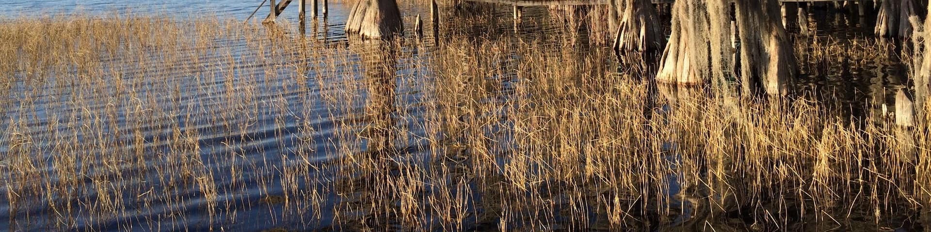 Melrose, FL
Lake Santa Fe