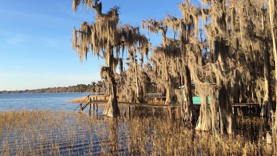 A waterfront with Spanish moss-covered trees, a wooden dock, and a distant shoreline.