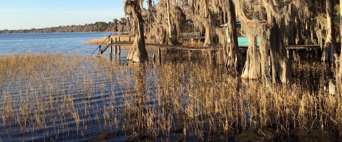 A waterfront with Spanish moss-covered trees, a wooden dock, and a distant shoreline.